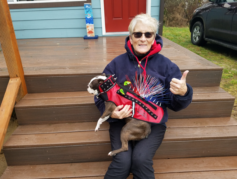 它正在残忍地杀死人们的宠物狗...