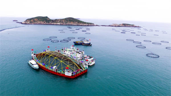 �⸻����ÿ�괴��һ�������һ�������м��֡��������