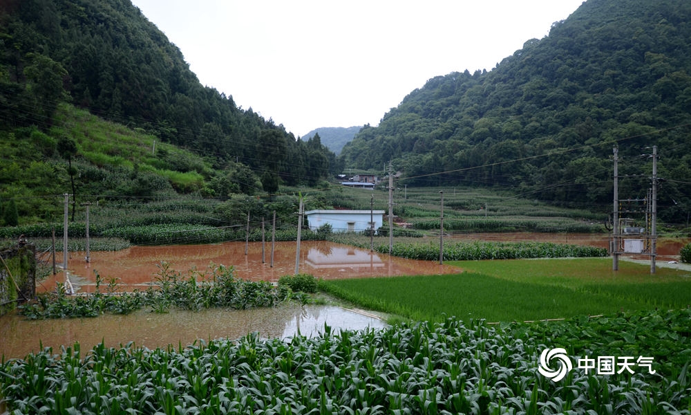 百色市隆林县隆或镇24日凌晨遇特大暴雨  来源：天气推送