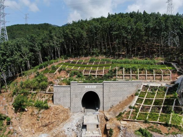 �����й�������������·167��������ͨ ���ͨ������