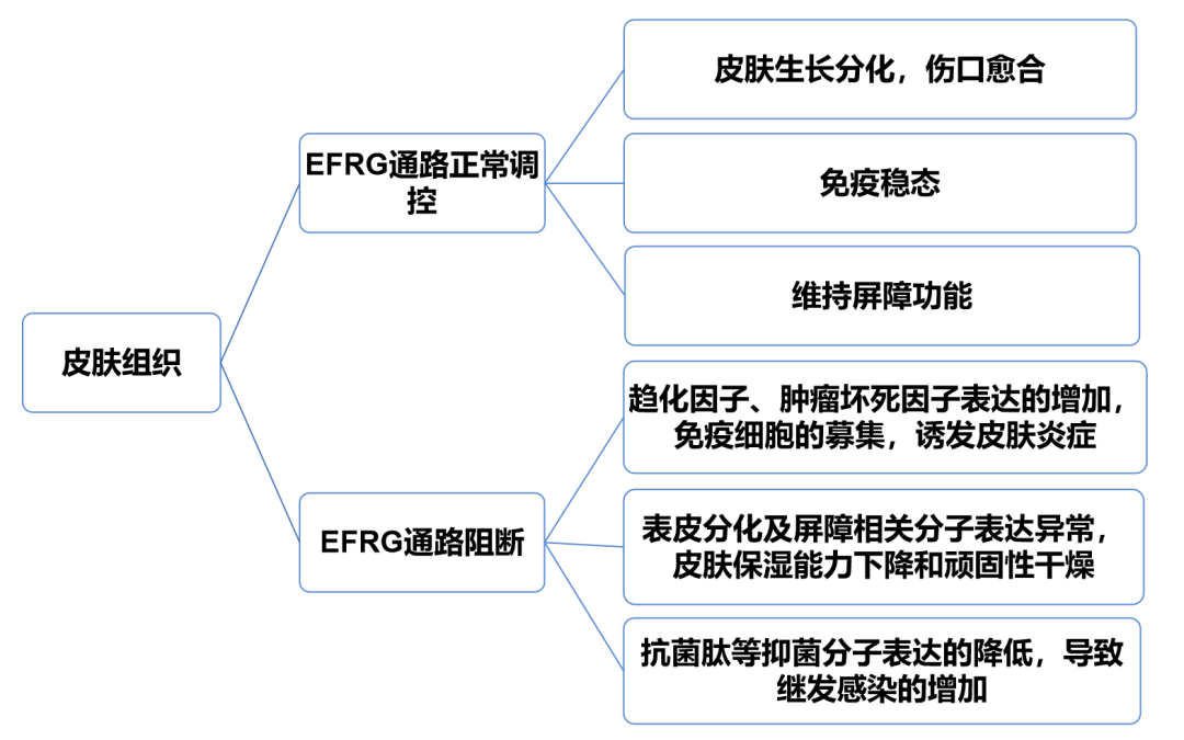  抗EGFR单抗治疗相关皮肤不良反应如何处理？