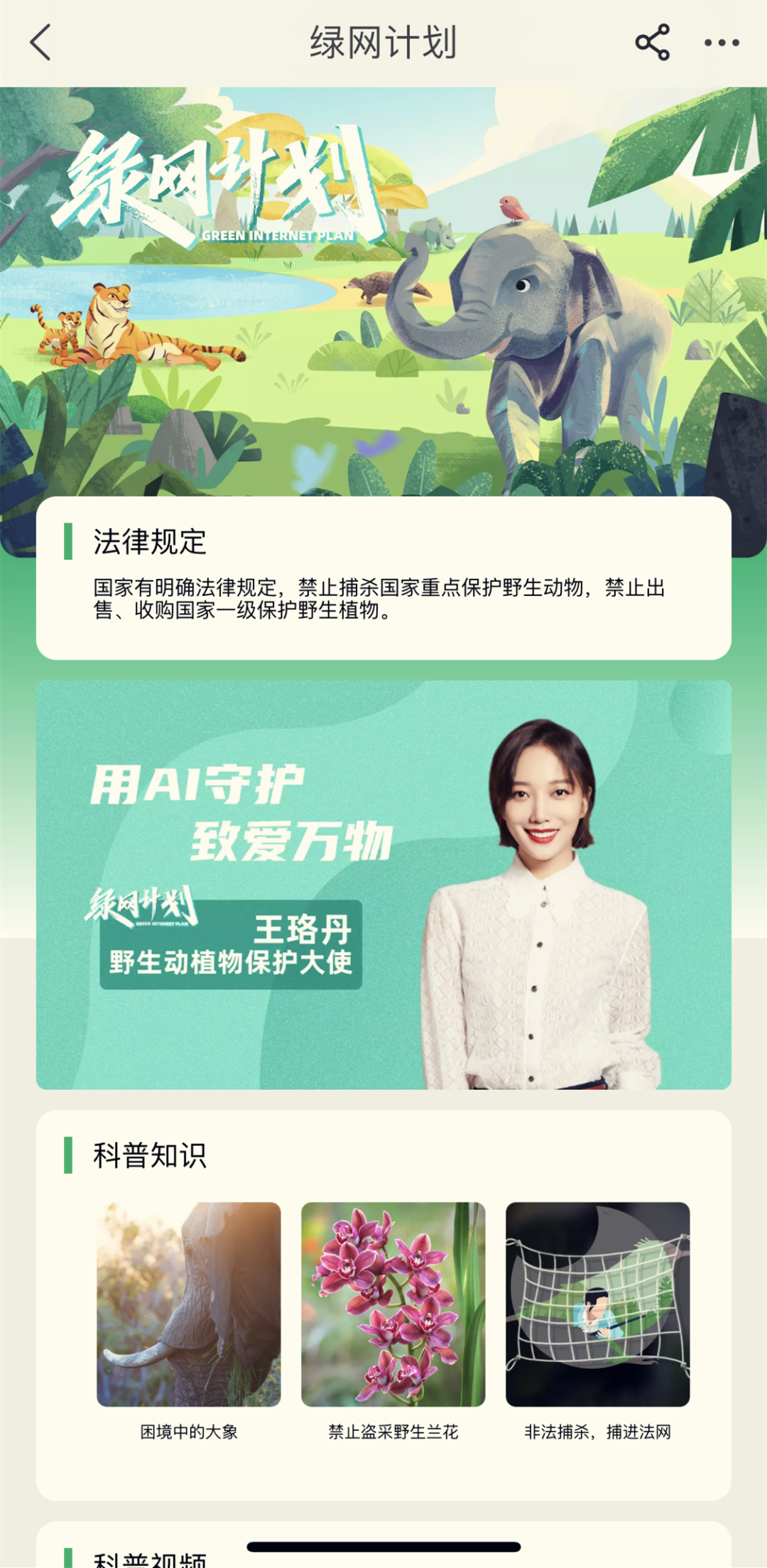 万能的淘宝上买不到什么？