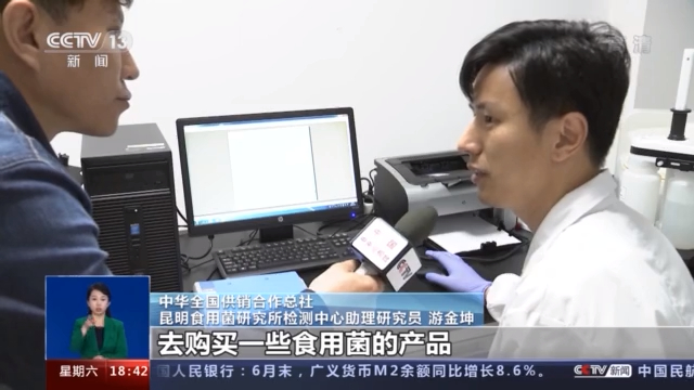 谨防野生菌中毒 这些一定要记牢&rarr;