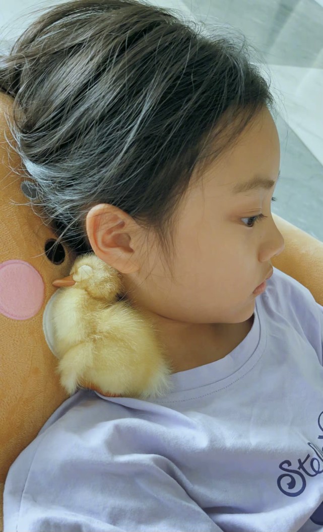 李小璐晒甜馨近照，8岁甜馨升级当鸭妈妈，侧颜似贾乃亮翻版