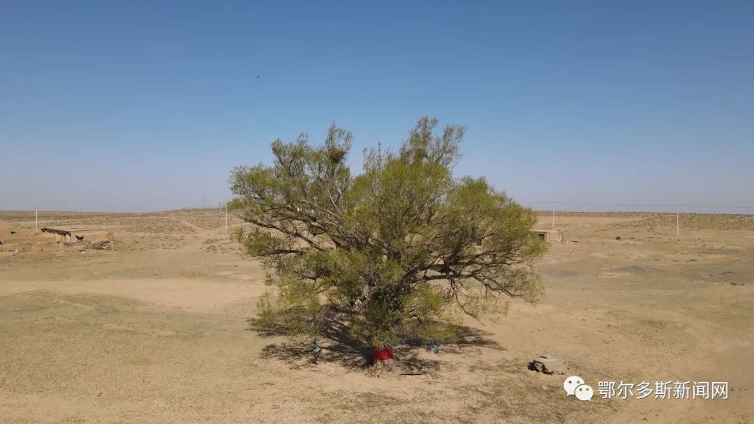 杭锦旗巴拉贡镇有这样一个文化教育基地