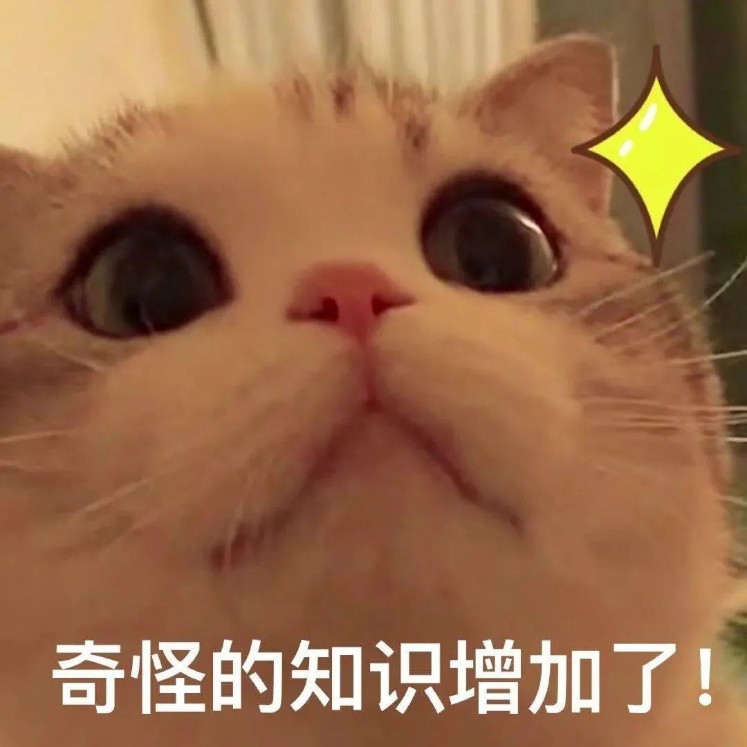 奶音冠军张家齐想要芭比娃娃？真相曝光！这些“冷知识”沸了……