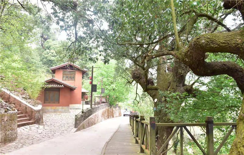双柏县旅游文化产业发展驶入“快车道”
