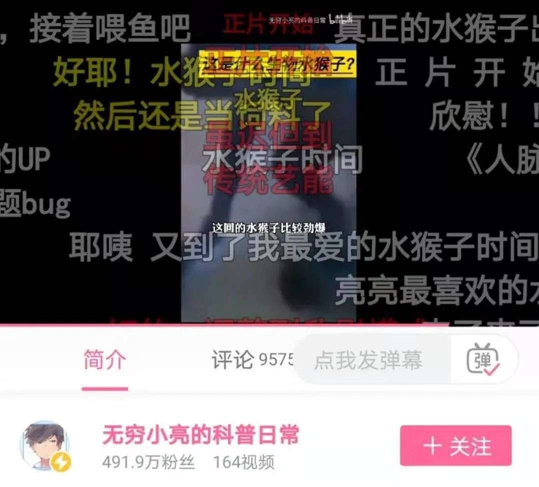 B站知识区的真实与谎言