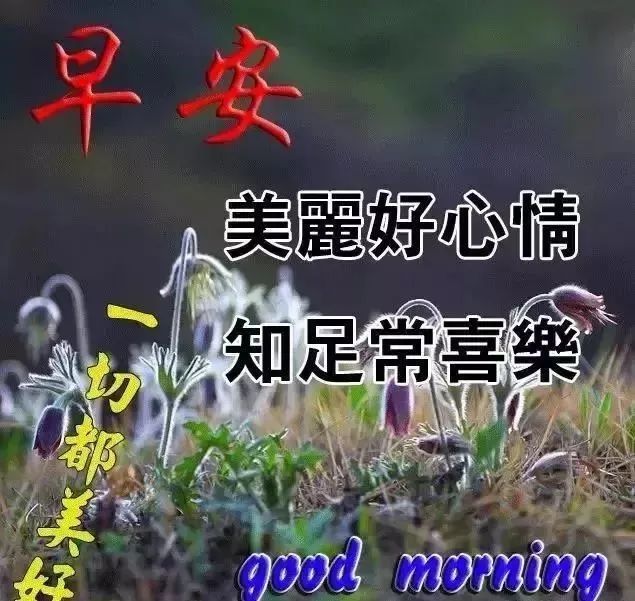 最暖心早安图片 温馨的秋天早上好祝福语图片带字 早安问候语抖音文案图片