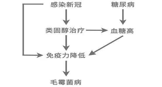整个人“发霉”而死，可怕疾病蔓延印度