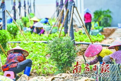 清城区清飞小学、新城小学 将迎首批新生(图3)