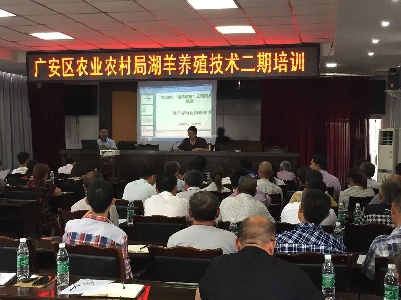 山中青年第二季&middot;百年青春｜助力西部乡村振兴的东部&ldquo;羊倌&rdquo;