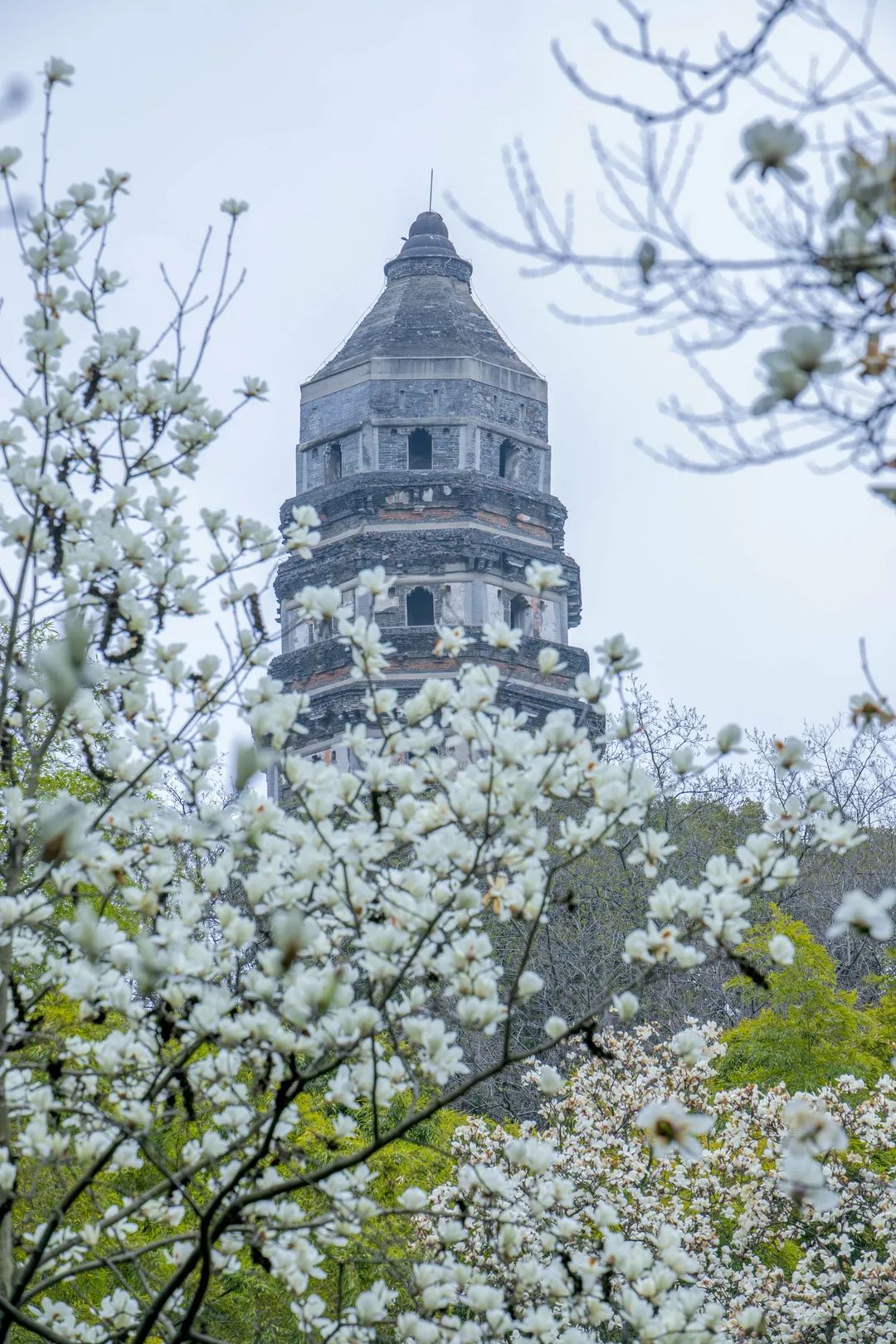 運河十景 | 斜而不倒，屹立千年，走進吳中第一名勝