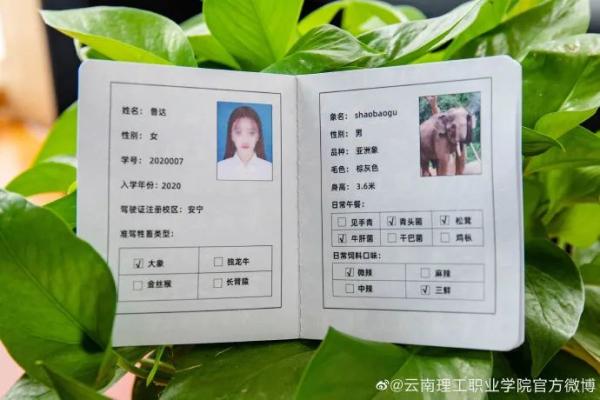 �ϴ�ѧ�������������ʻ֤��������������ƫ����