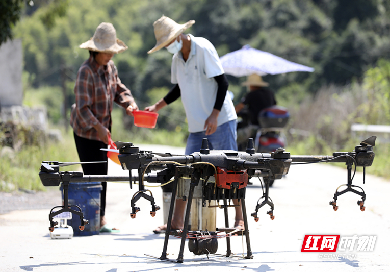 資興市：家庭農(nóng)場(chǎng)“無(wú)人機(jī)”防治病蟲害保豐收