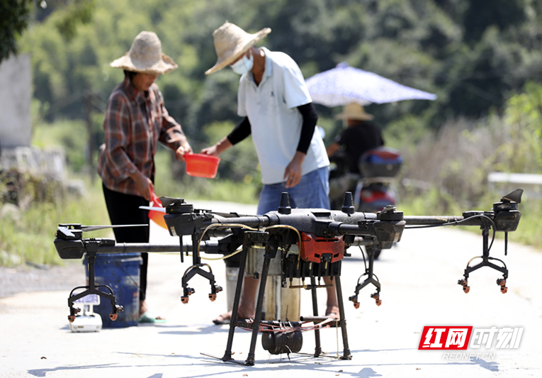 资兴市：家庭农场“无人机”防治病虫害保丰收