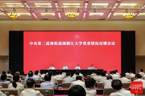 重磅！15个中央巡视组发现了这些问题