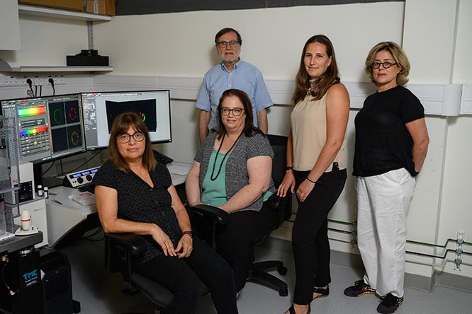 �µĳ��񷽷���ʾϸ������DNA�ľ������з�ʽ