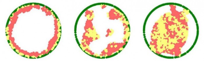 �µĳ��񷽷���ʾϸ������DNA�ľ������з�ʽ