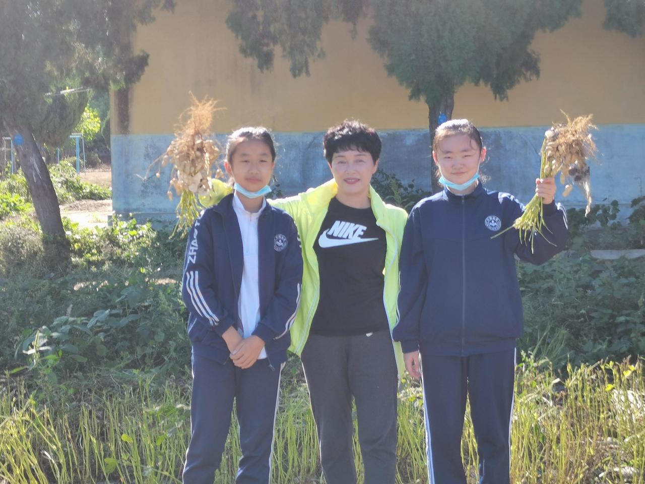 招遠(yuǎn)市夏甸鎮(zhèn)新村初級中學(xué)開展秋收實(shí)踐活動(dòng)(圖1) 招遠(yuǎn)市夏甸鎮(zhèn)新村初級中學(xué)開展秋收實(shí)踐活動(dòng)(圖1)