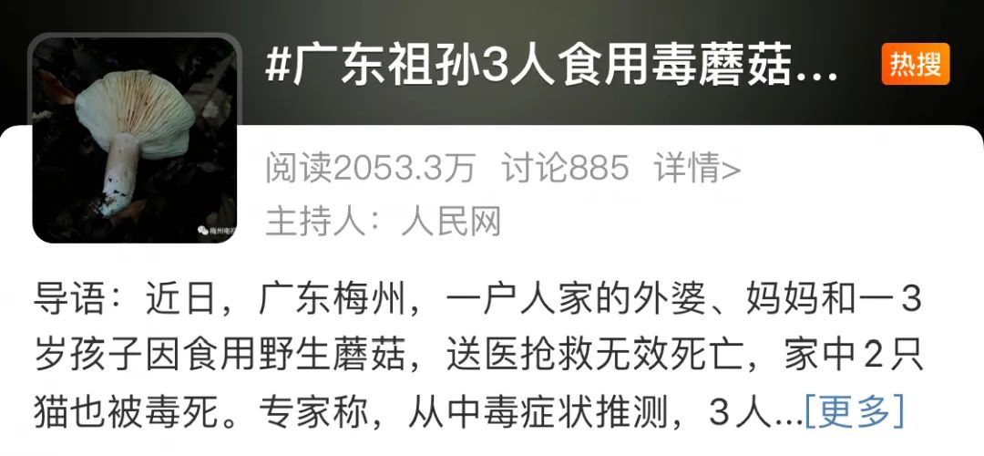 痛心！广东祖孙3人去世，两只猫也未幸免…