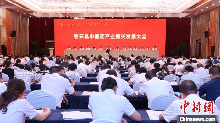 浙江“江南药镇”新期待：“智治”助力中医药产业振兴