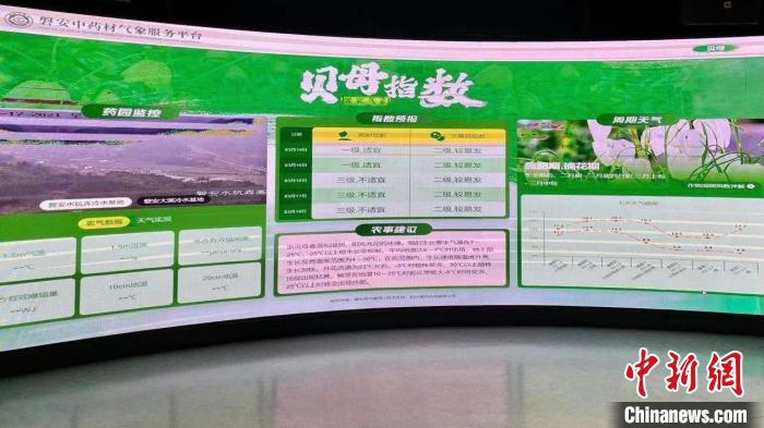 浙江“江南药镇”新期待：“智治”助力中医药产业振兴