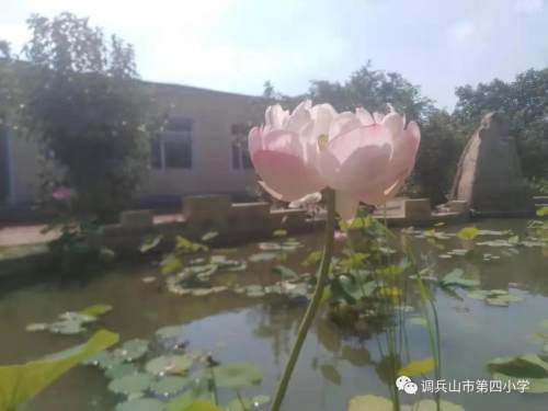 調(diào)兵山市第四小學(xué)教師節(jié)系列活動(dòng)(圖2) 調(diào)兵山市第四小學(xué)教師節(jié)系列活動(dòng)(圖2)