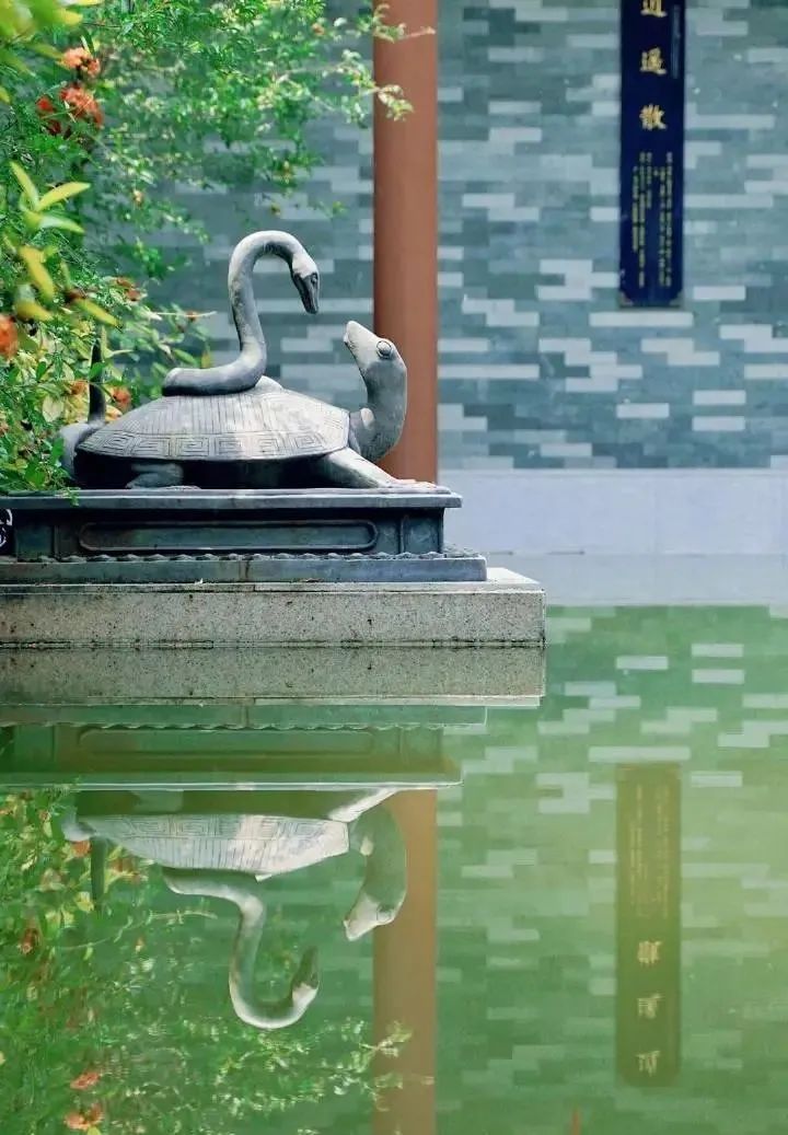 目标：国家5A级！广州新建中医药文化景区