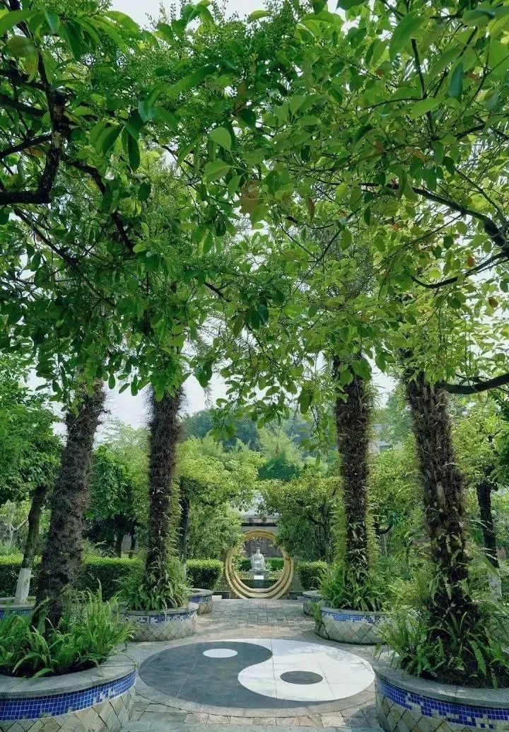 目标：国家5A级！广州新建中医药文化景区
