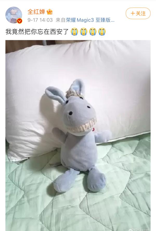 丢娃娃后三小时两上热搜！全红婵为啥这么招人喜欢？