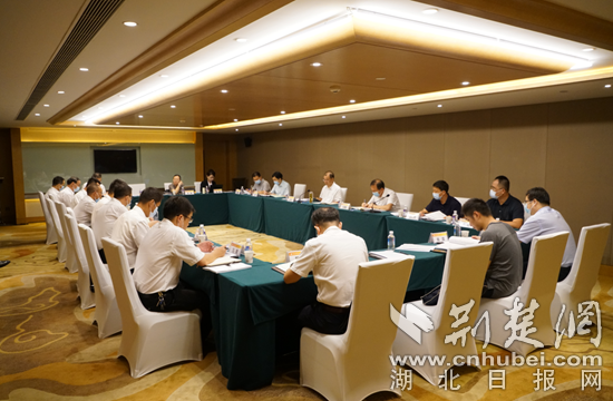 中国有色集团党委现场督导中色大冶环保问题整改