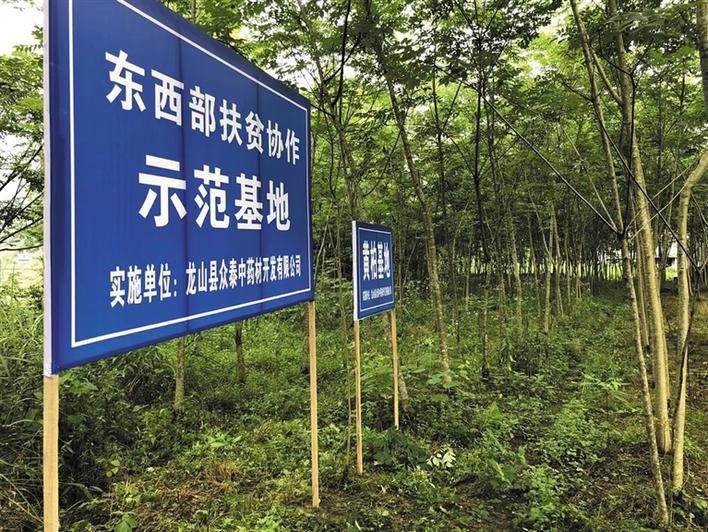 五年巨变——向州党代会报告｜璀璨的民族医药花