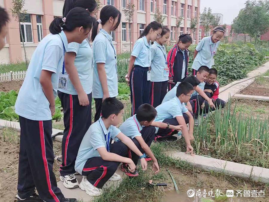 利津县陈庄镇中学师生携手体验“丰收节”(图3)