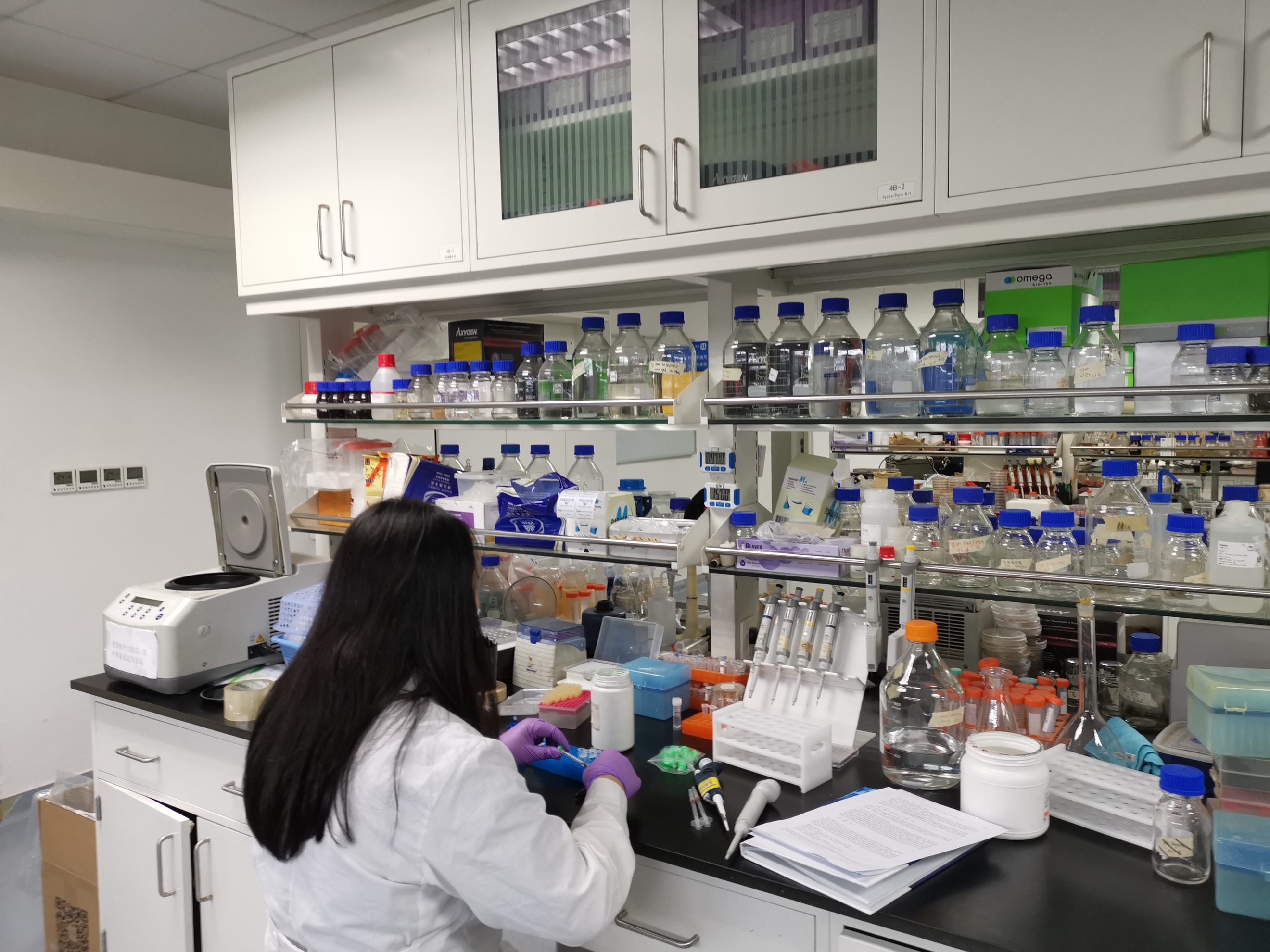 ҹѧʵִӶ̼۵ȫϳɣΪ״