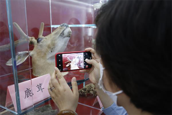 你好，我是福瑞达｜采访团走进福瑞达医药 看良心药企为国民造放心好药