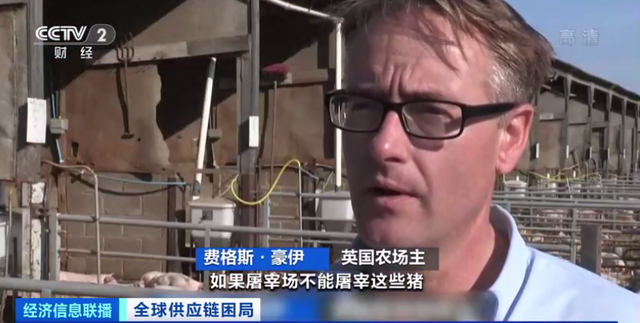 難！美國肯德基“無雞可炸”，老板為食材發愁……