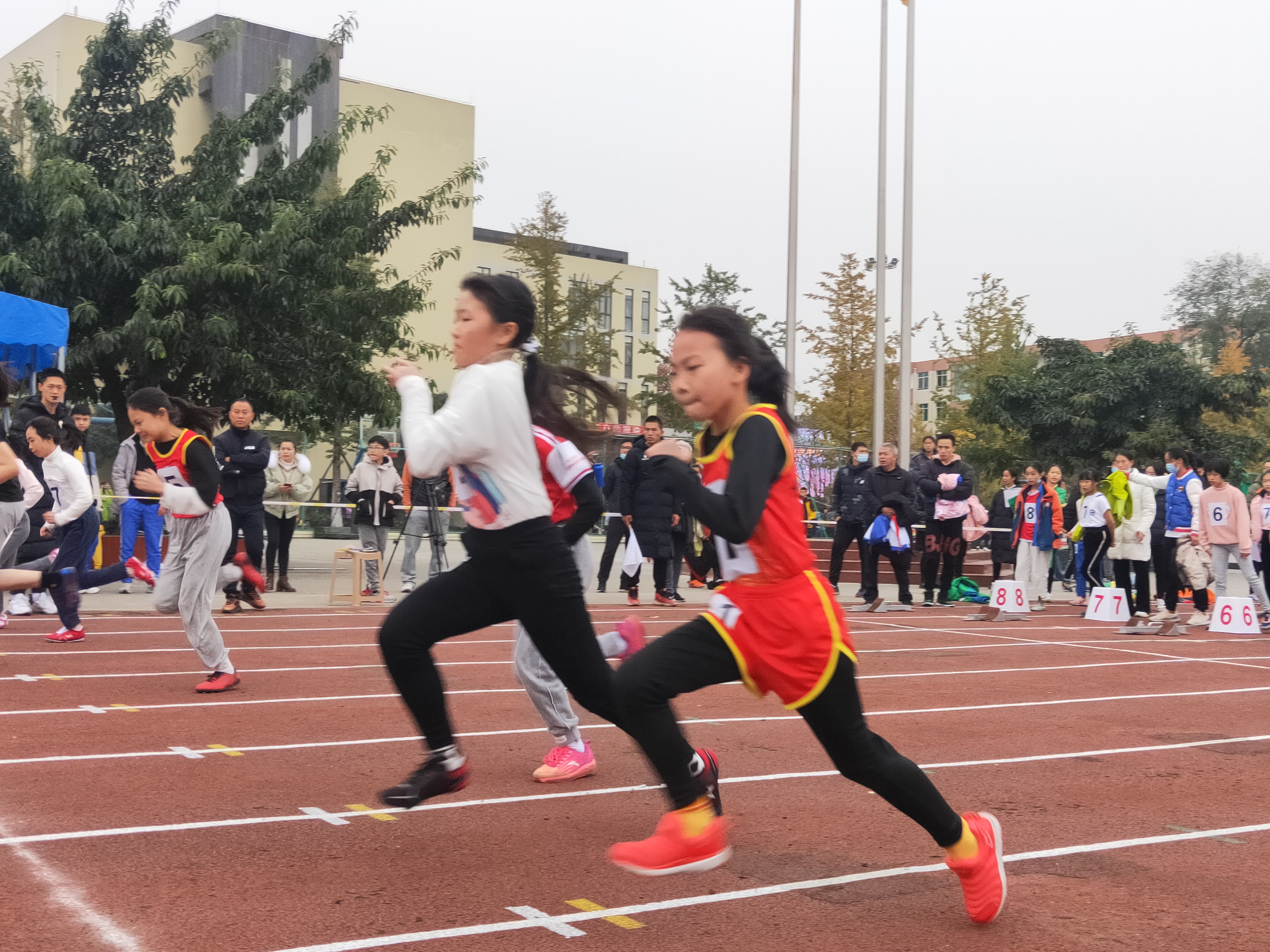 贺丨东升迎春小学参加双流区田径运动会集体项目荣获佳绩