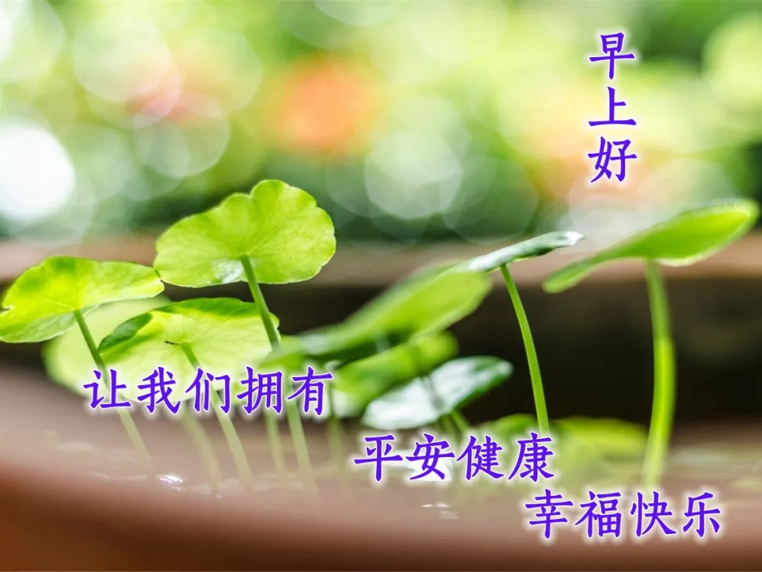 早上好表情动态 祝福语问候语 图片