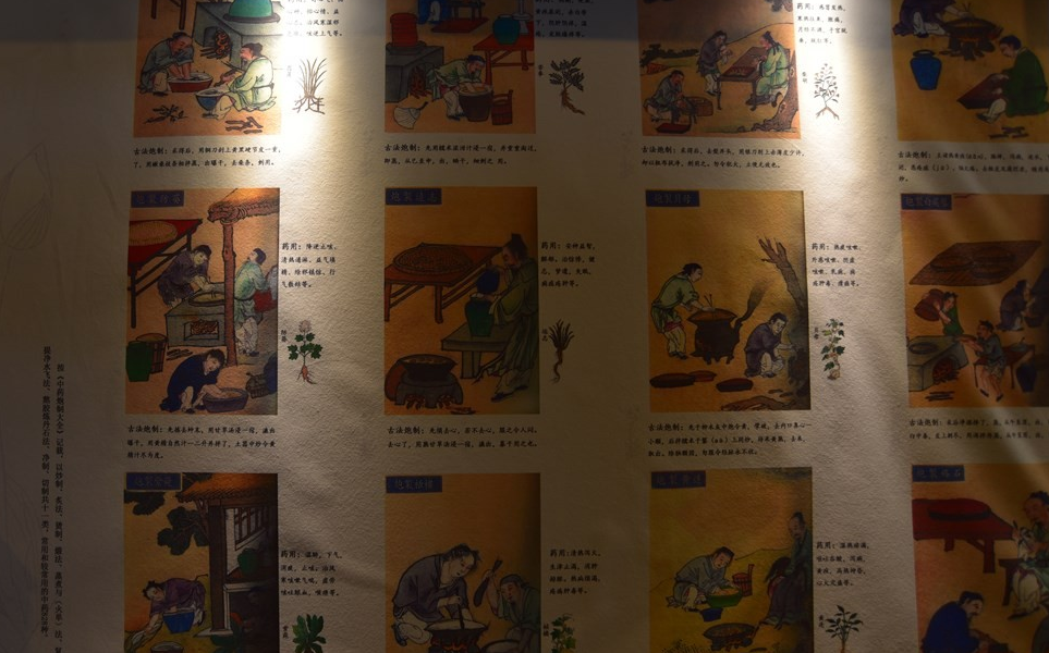 解读推动中药炮制广泛应用的目的和意义-陈谷超说脊柱