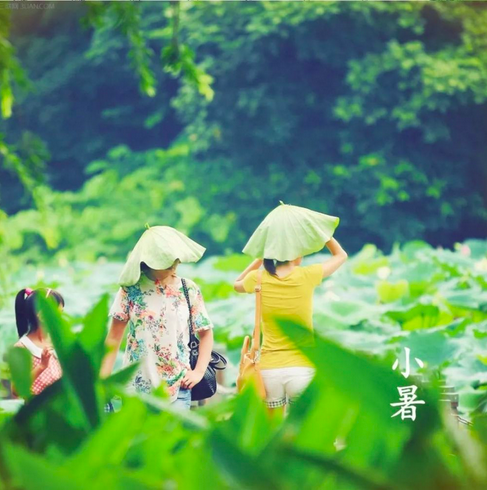 小暑将至，老话“小暑热得透，大暑凉飕飕”，今年啥时候最热？