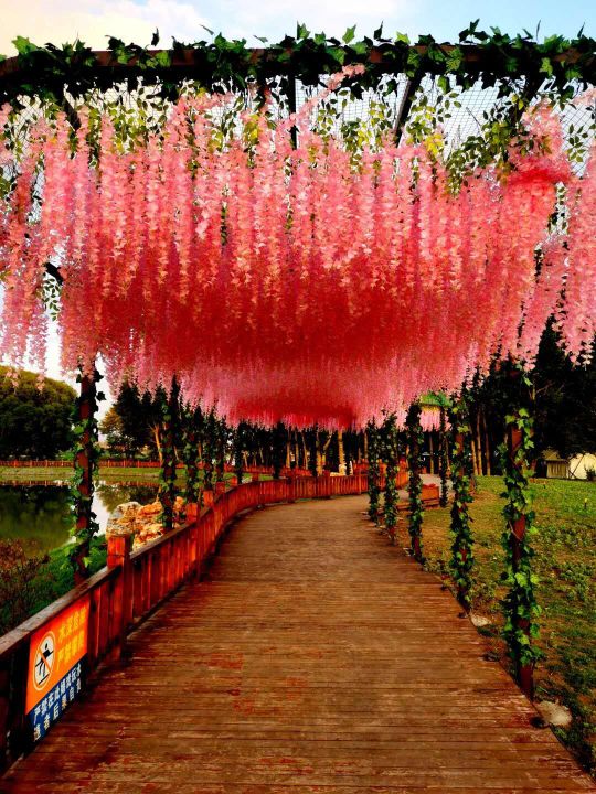 音乐|大河湾烧烤狂欢盛宴圆满落下帷幕