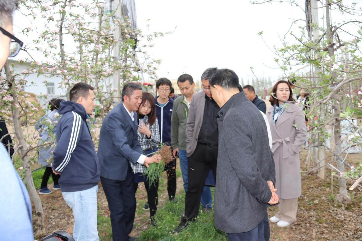 一场会议，看“绿肥+”如何加出农业新天地