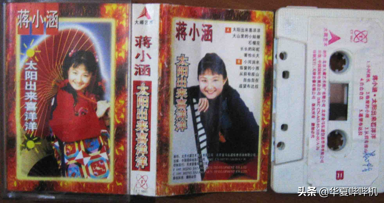 蒋大为的“乌龙女儿”，被央妈独宠的蒋小涵如今怎样了？