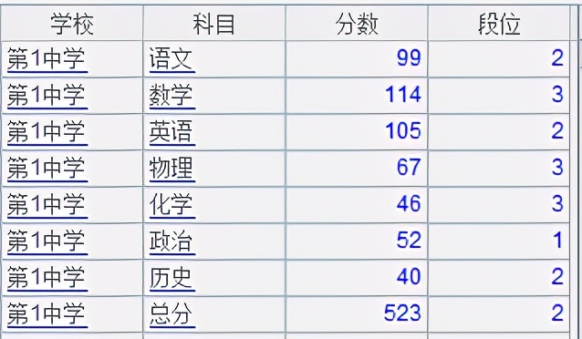 如何关联分段代码表生成统计报表