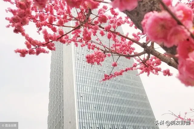 关于梅的诗句大全 梅雪争春未肯降，骚人阁笔费评章图片