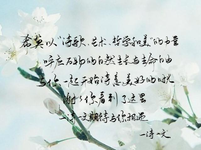令人心动的夏日句子和清新小诗-第9张图片-非凡网