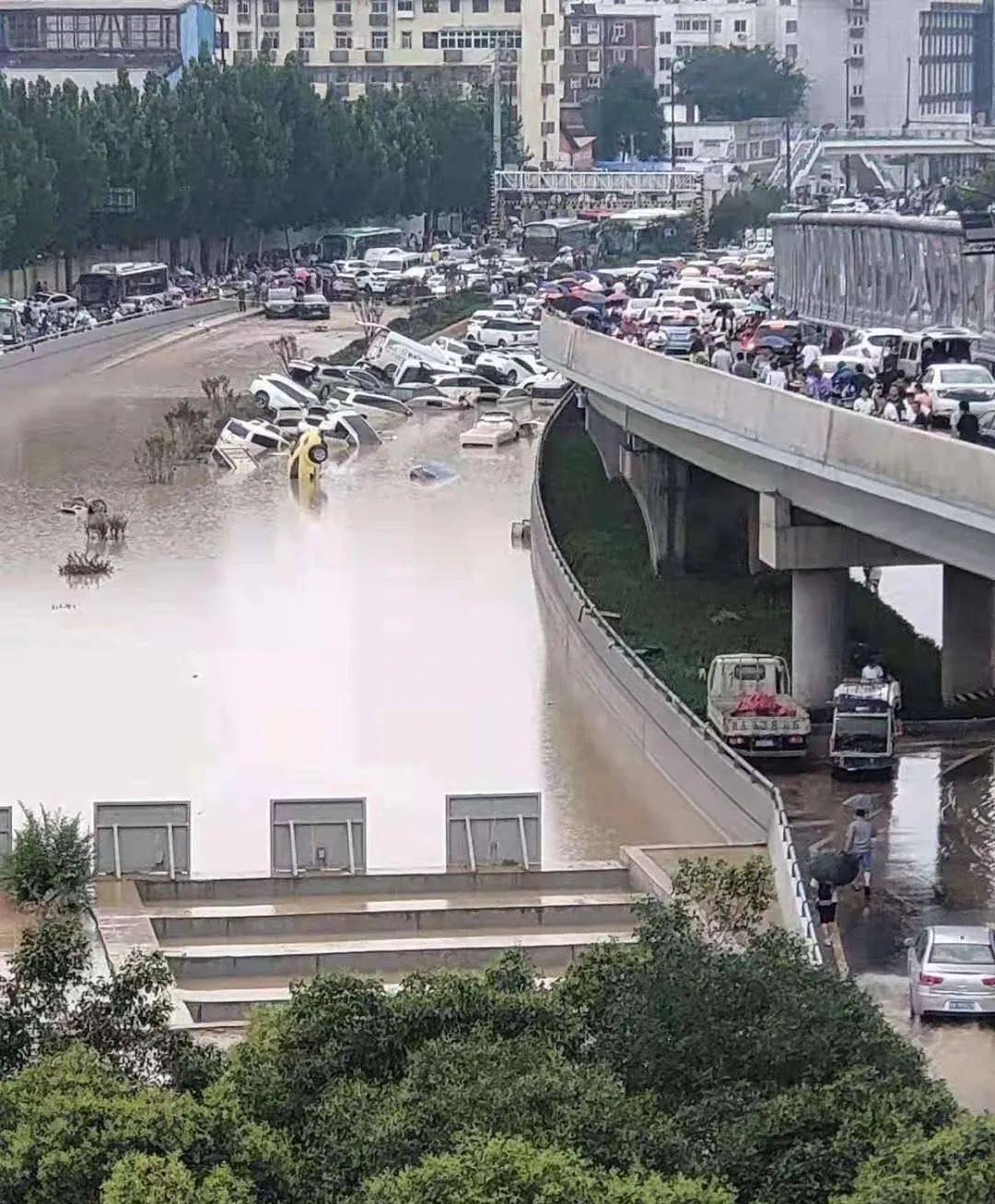 9个河南人的暴雨逃生现场：“我活下来了，我能吹一辈子！”