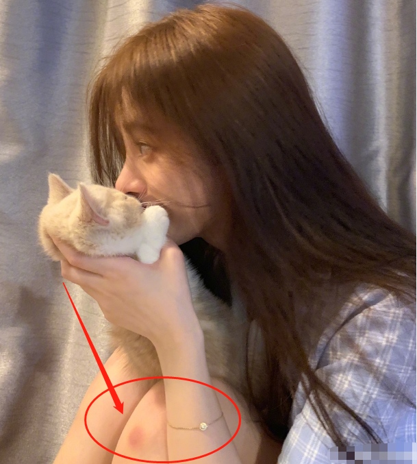 鞠婧祎不理恶评，晒撸猫照介绍新成员，我却只