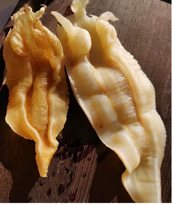 细说“海洋人参”——花胶